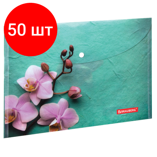 Комплект 50 шт, Папка-конверт с кнопкой BRAUBERG FLOWER, А4, 160 мкм, до 100 листов, цветная печать, 228031