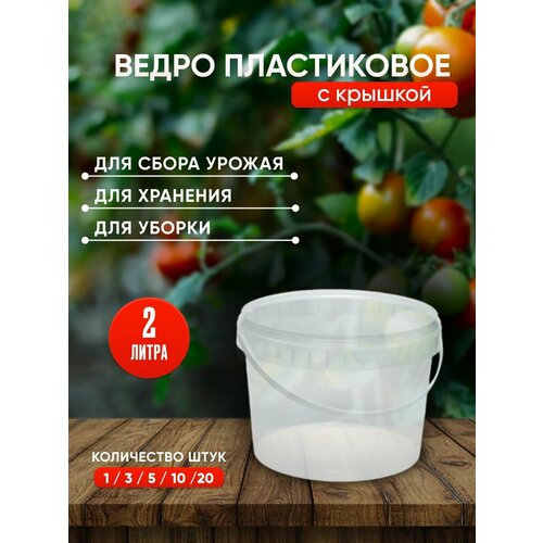 Пластиковое ведро с крышкой, 2 литра, 3 штуки, прозрачное