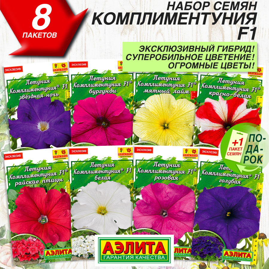 Петуния комплиментуния отзывы фото до и после