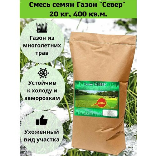Смесь семян газонных трав, "Газон "Север", 20 кг, Зеленстрой