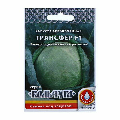 Семена Капуста белокочанная 