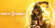 Mortal Kombat 11 PC Ключ Steam регион Россия ( русский язык )