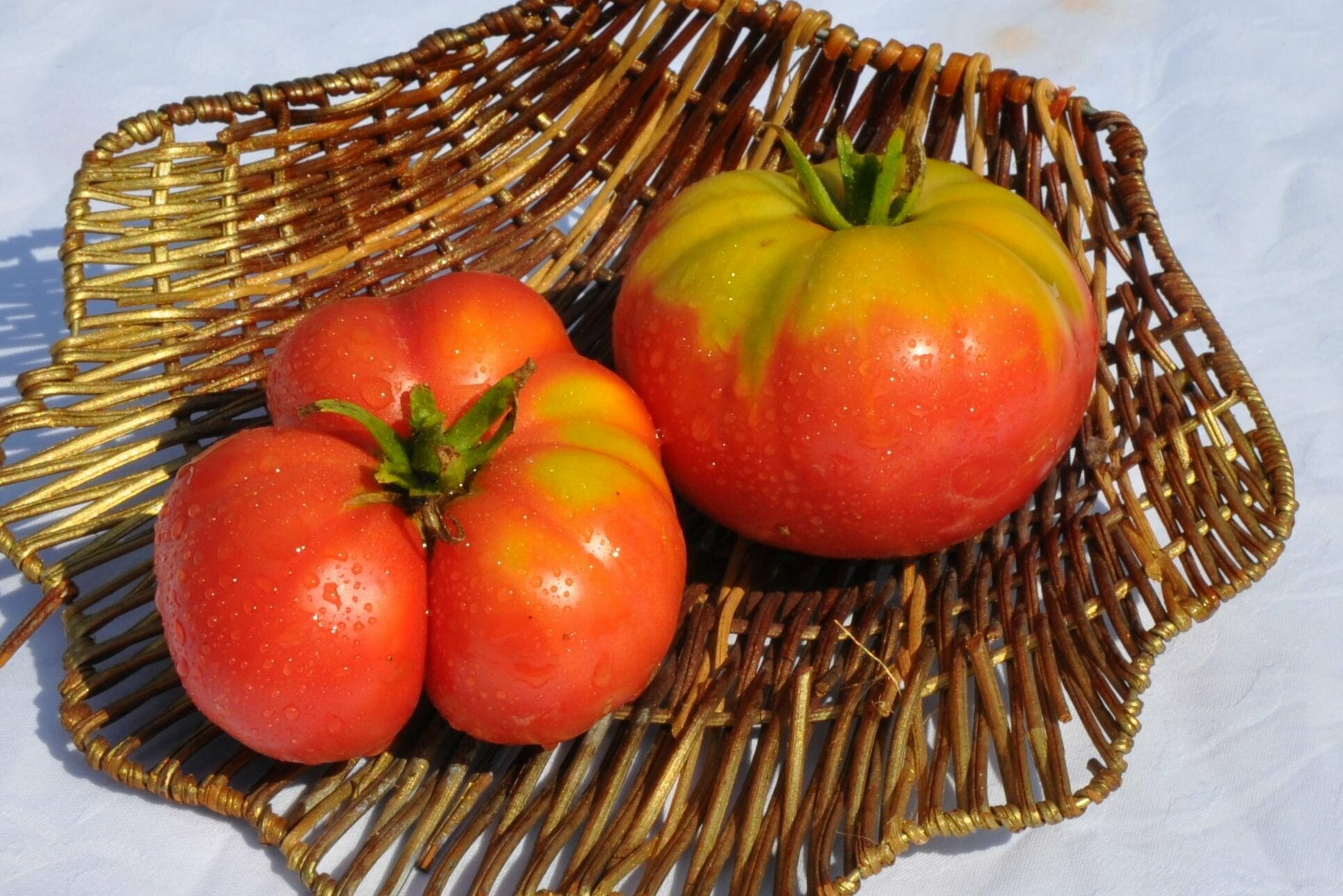 Коллекционные семена томата Ребекка Аллен