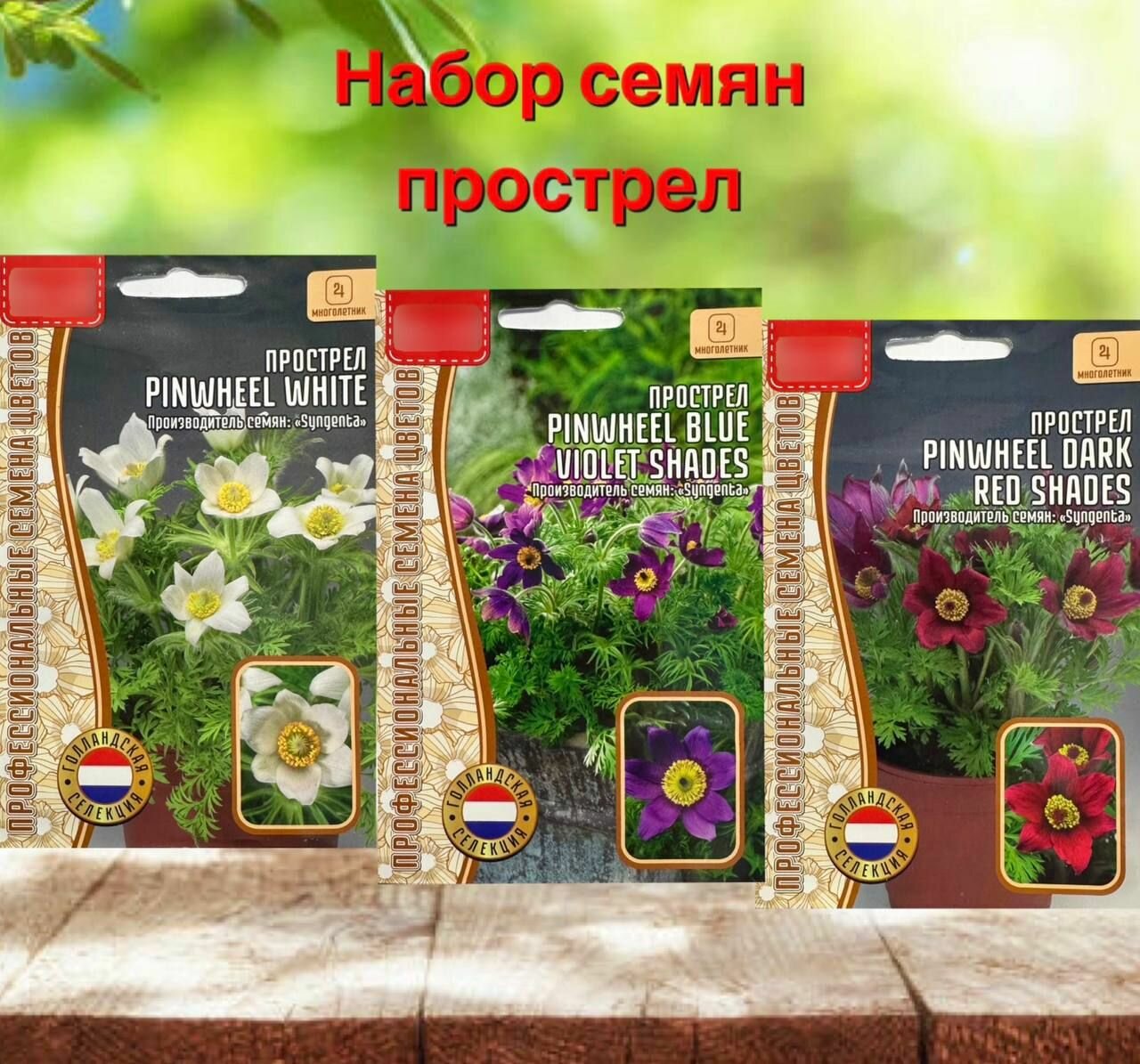 фото Семена многолетних цветов для дома и сада Прострел 3 уп.