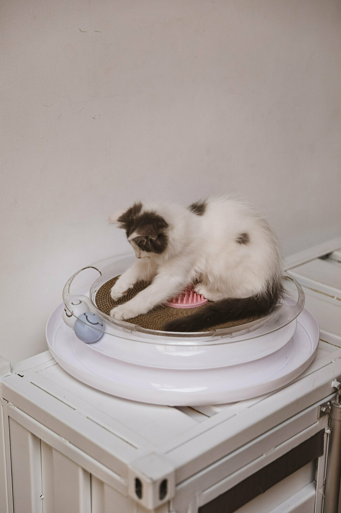 Когтеточка с игрушкой для кошек, "Не Один Дома" Орбита, белый