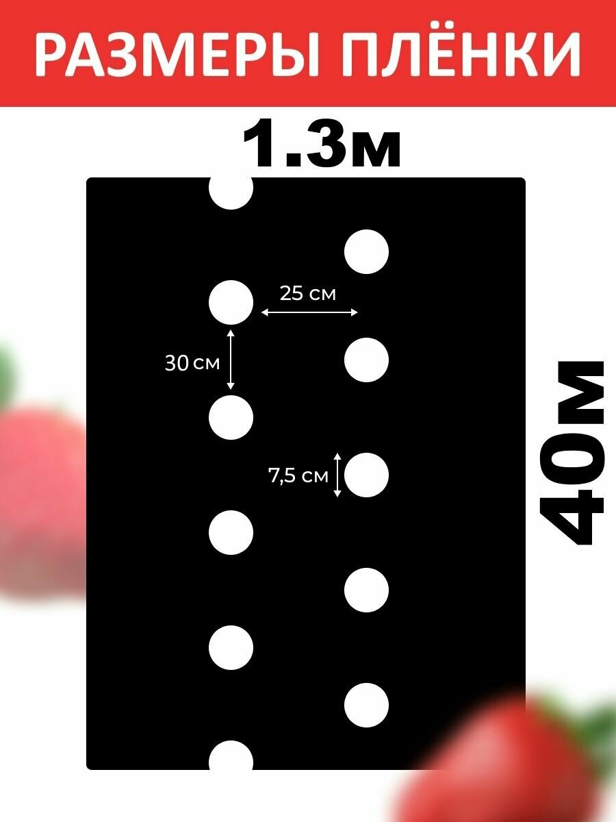 Плёнка для клубники мульчирующая 60мкм, укрывной материал - фотография № 3