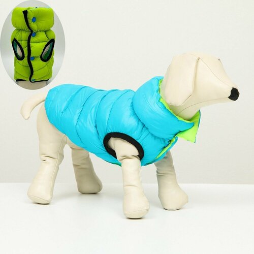 Куртка для собак Sima-Land двухсторонняя XS30 бирюзовая/салатовая