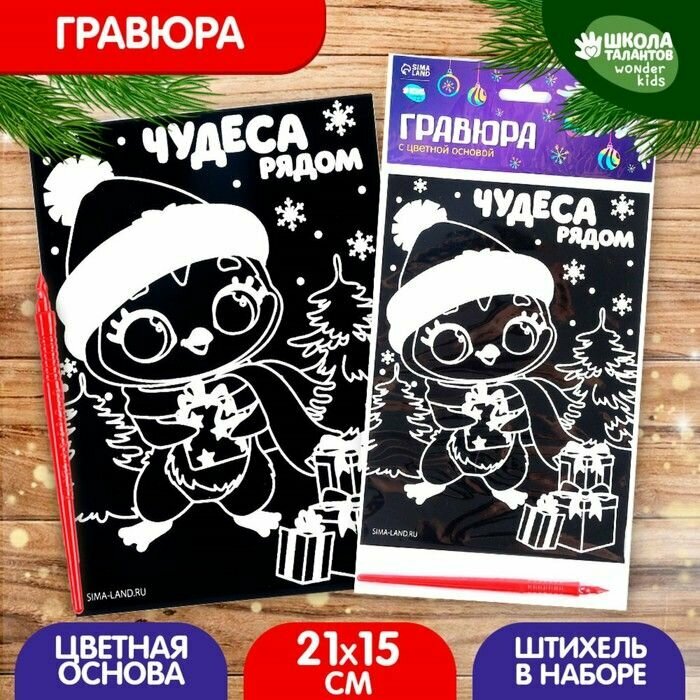 Подарочный набор для творчества . Гравюра . От 3 лет