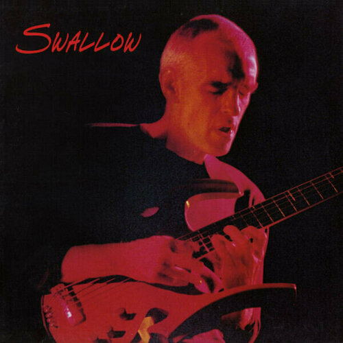 Виниловая пластинка Steve Swallow - Swallow - Vinyl. 1 LP