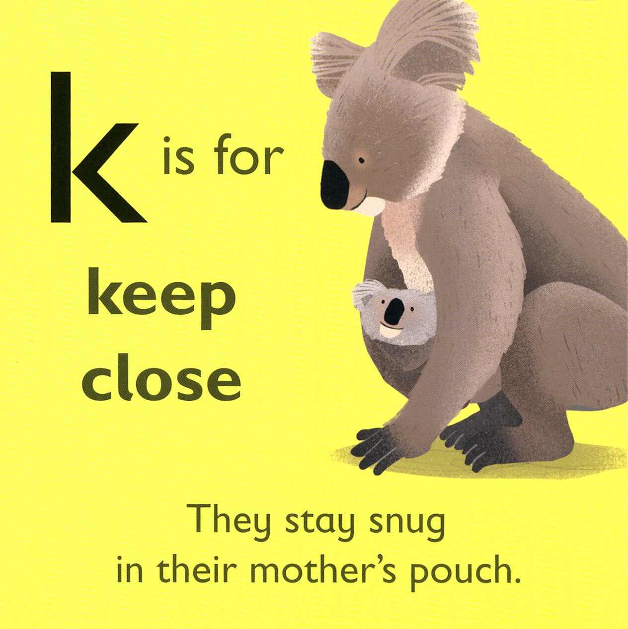K is for Koala (без автора) - фото №2