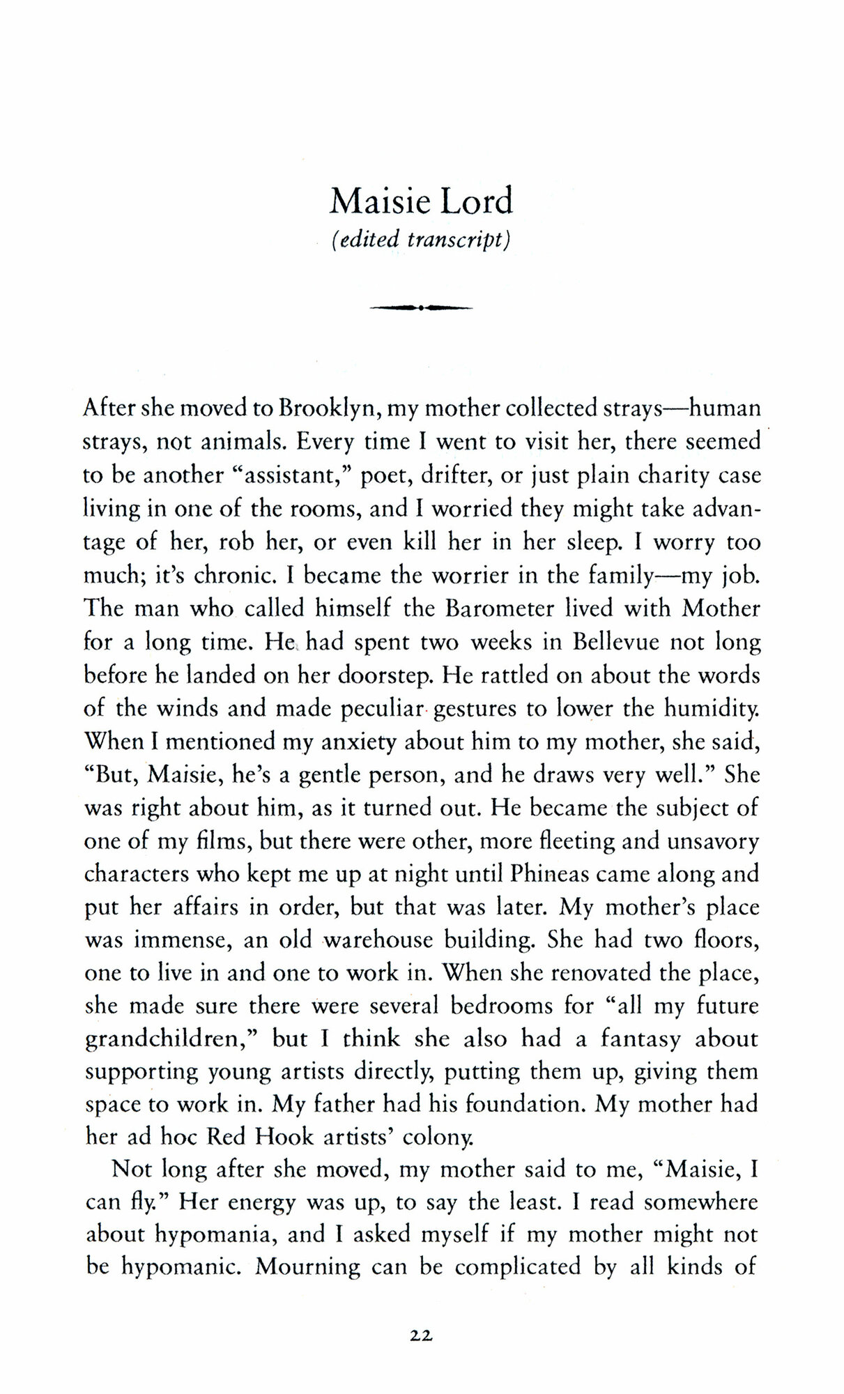 The Blazing World (Hustvedt Siri) - фото №2