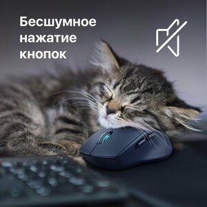 Основная фотография от вендора