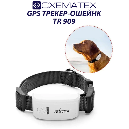 GPS трекер ошейник для домашних животных TR 909 / ошейник для собак