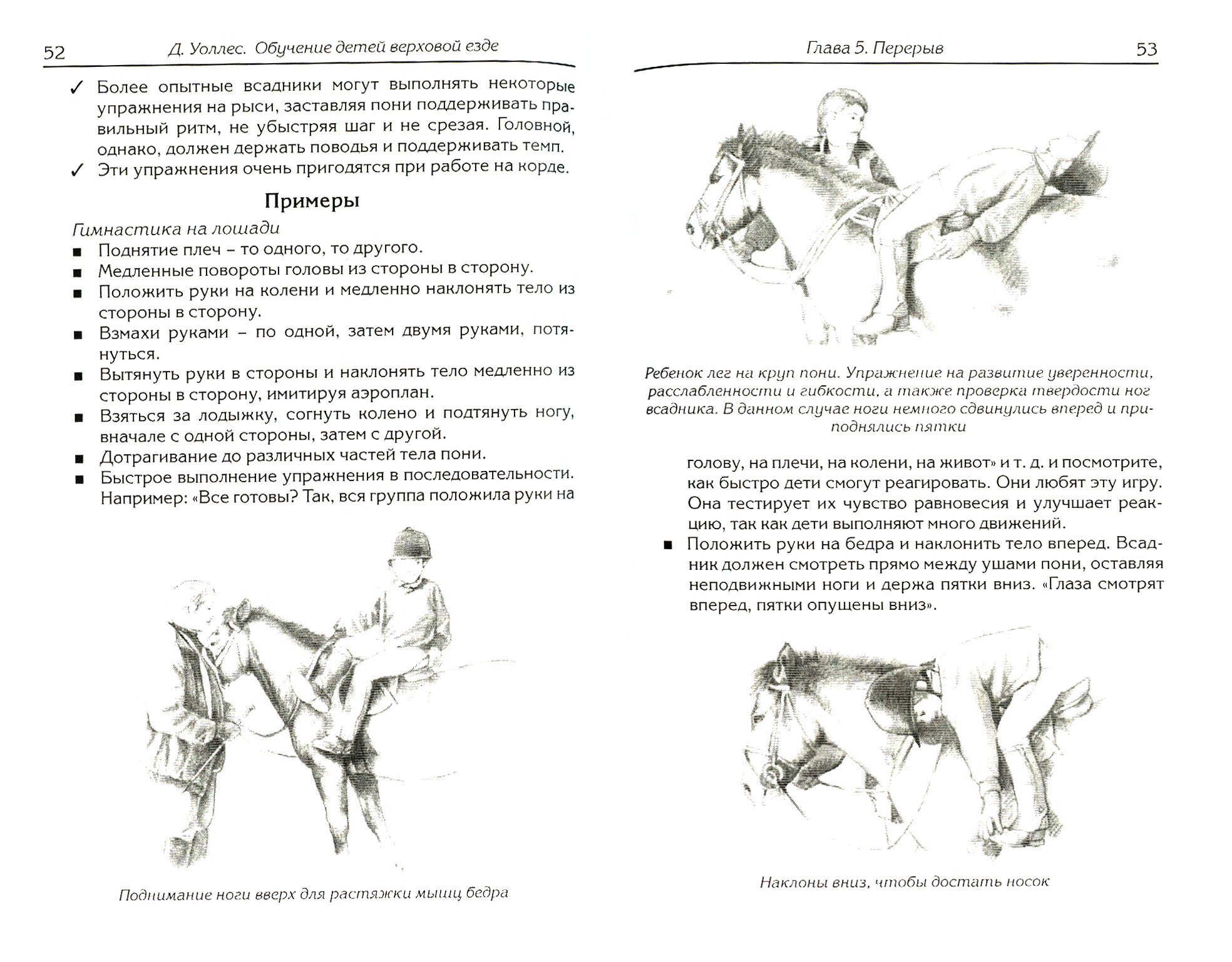 Обучение детей верховой езде. Практическое руководство - фото №2