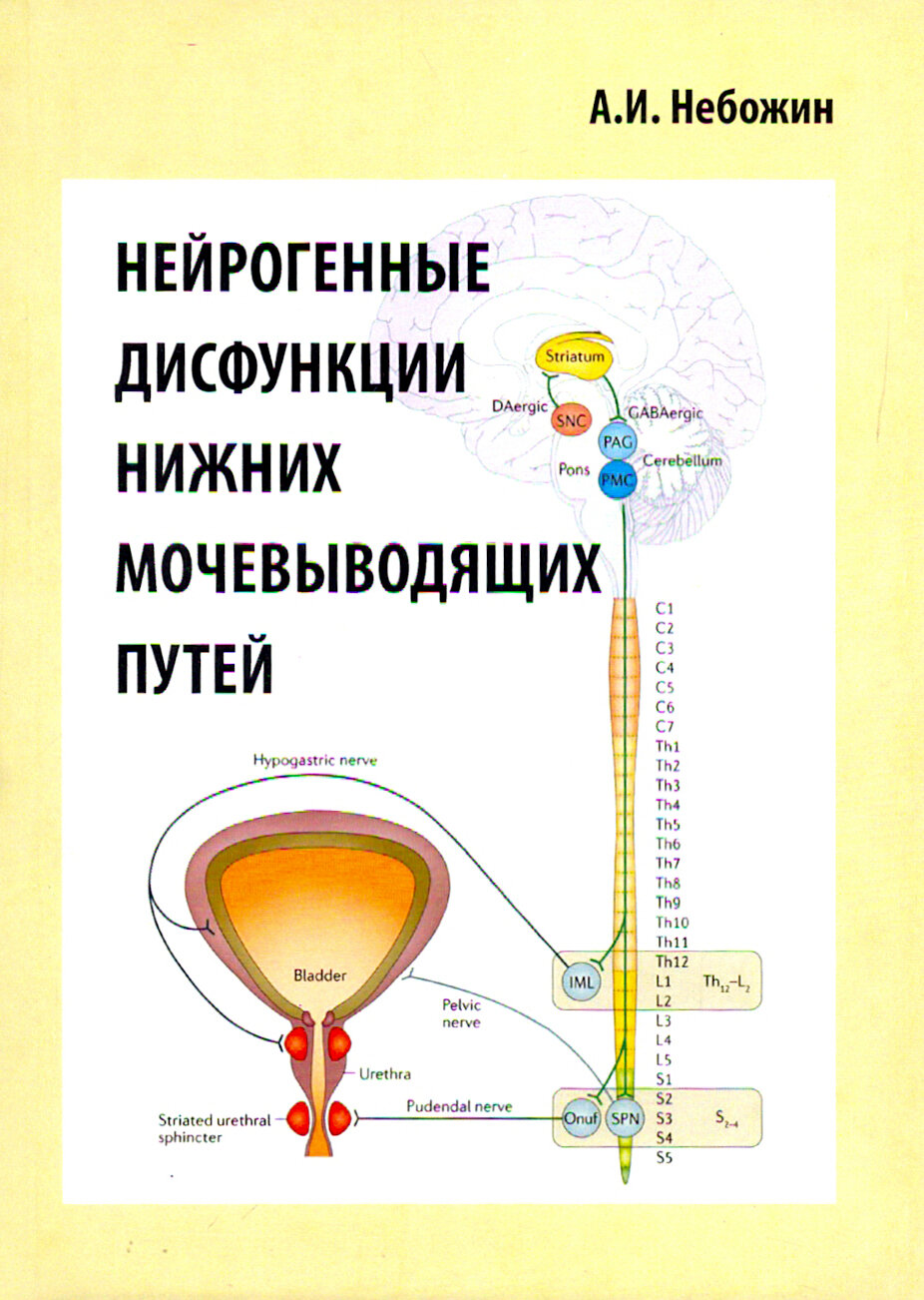 Нейрогенные дисфункции нижних мочевыводящих путей - фото №2