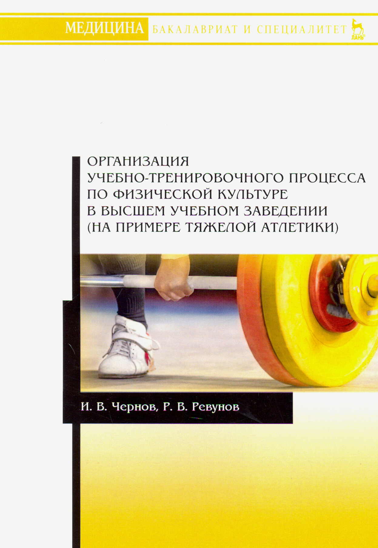 Организация учебно-тренировочного процесса по физической культуре в высшем учебном заведении - фото №3