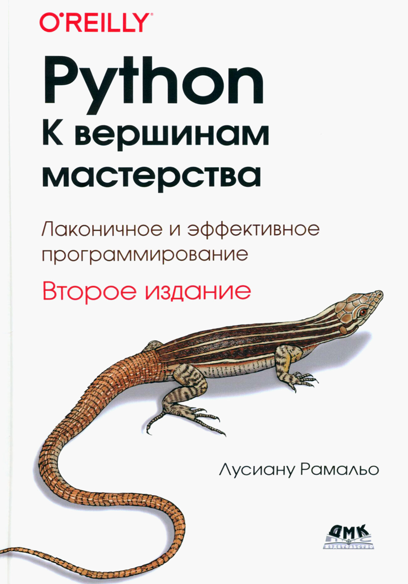 Python. К вершинам мастерства. Лаконичное и эффективное программирование