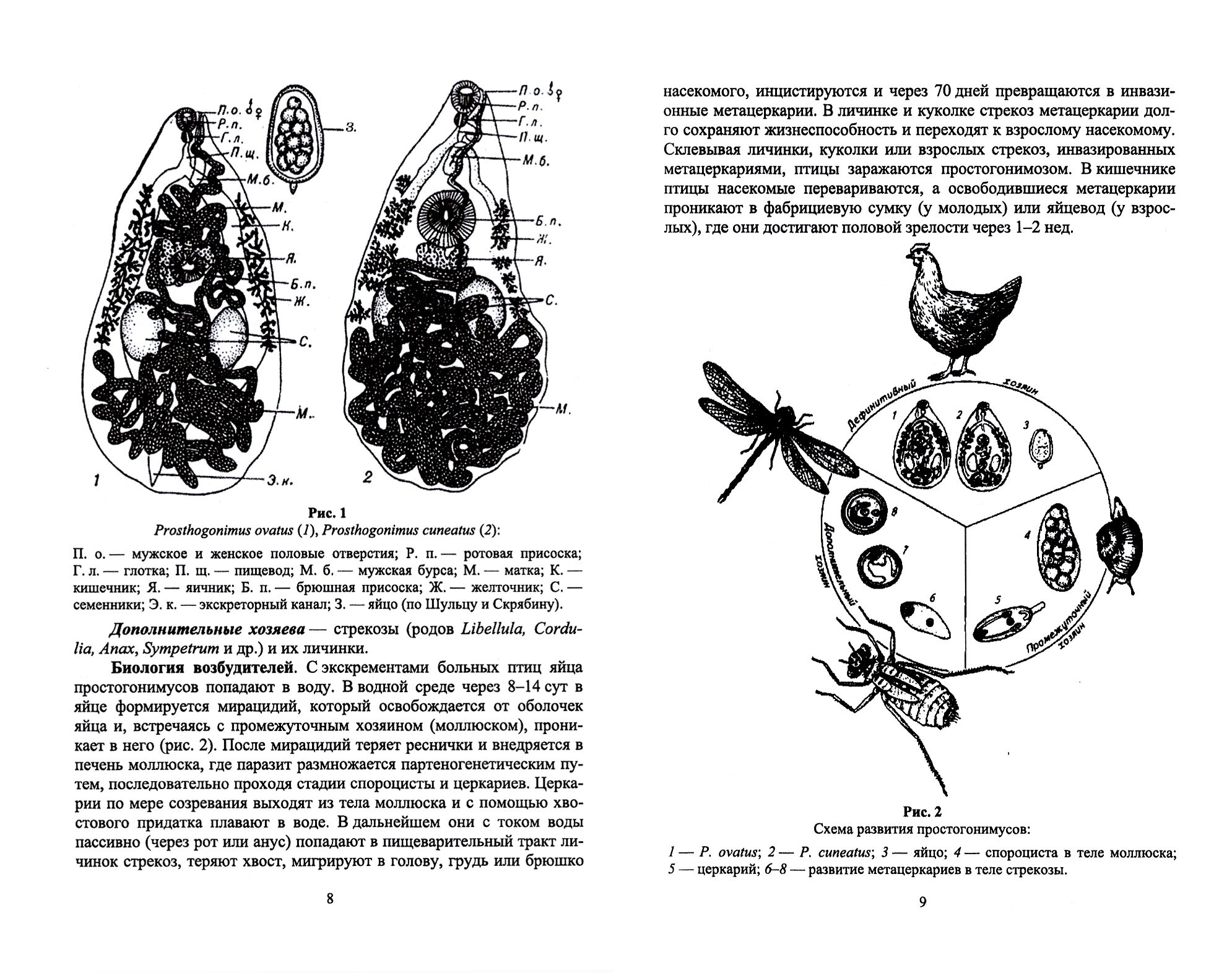 Паразитарные болезни птиц.Уч.пос - фото №2