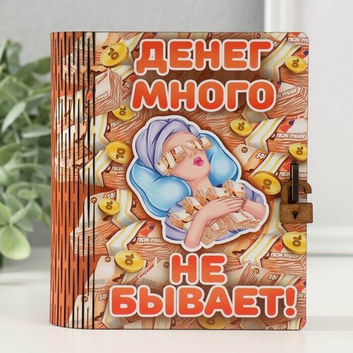 Копилка-шкатулка Денег много не бывает 14х12х5 см 439₽