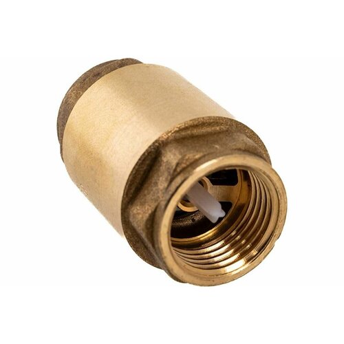 Обратный клапан латунный дисковый пружинный плстиковый шток 3/4