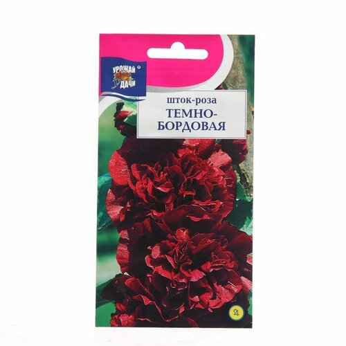 Семена цветов Шток-роза, Тeмно-бордовая 0,1 г 3 шт