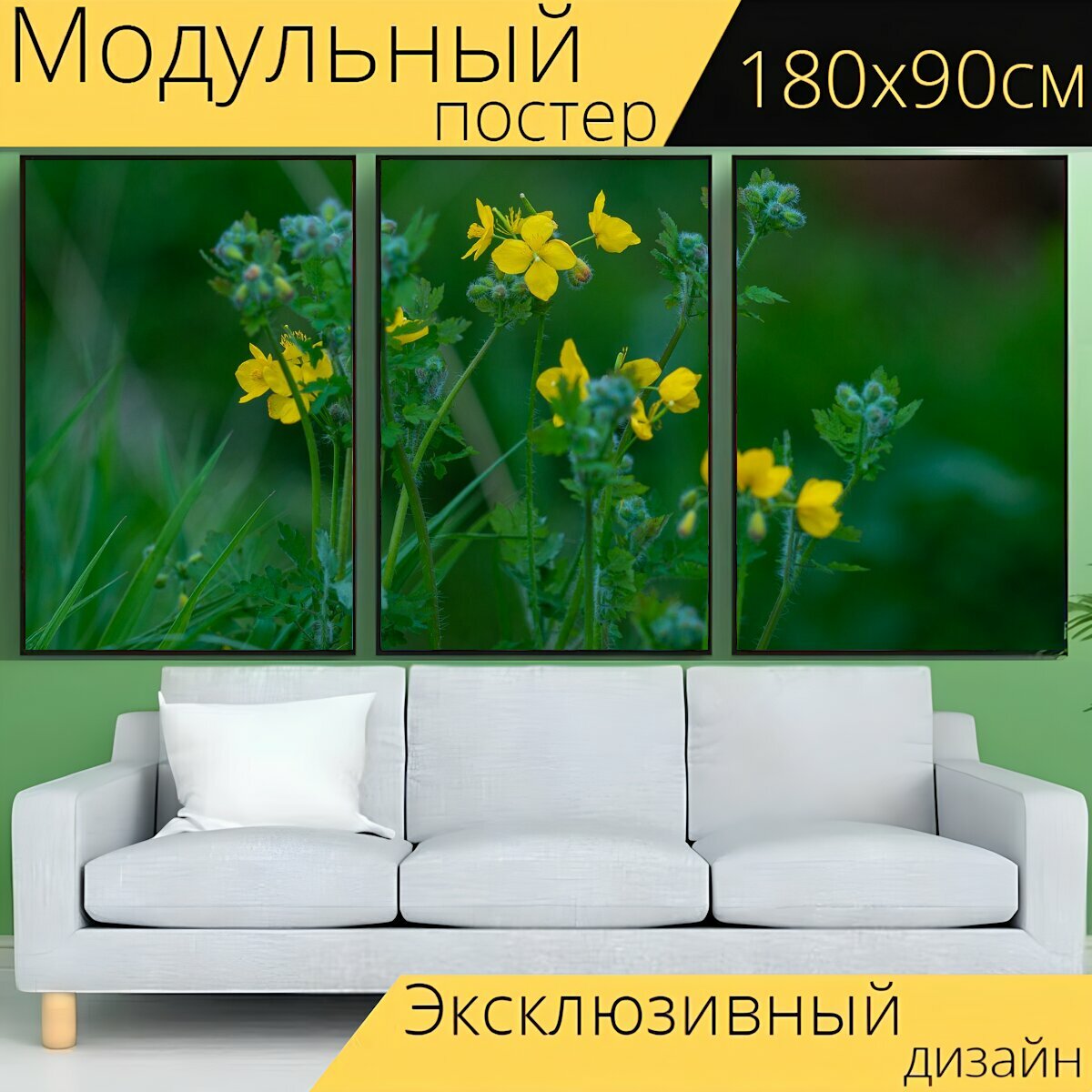 Модульный постер "Полевой цветок, весна, желтый" 180 x 90 см. для интерьера