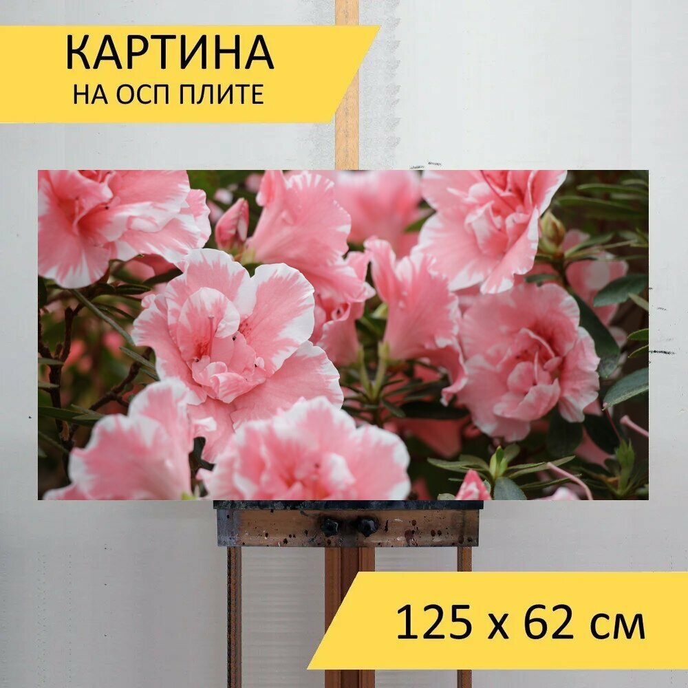 Картина на ОСП 125х62 см. 