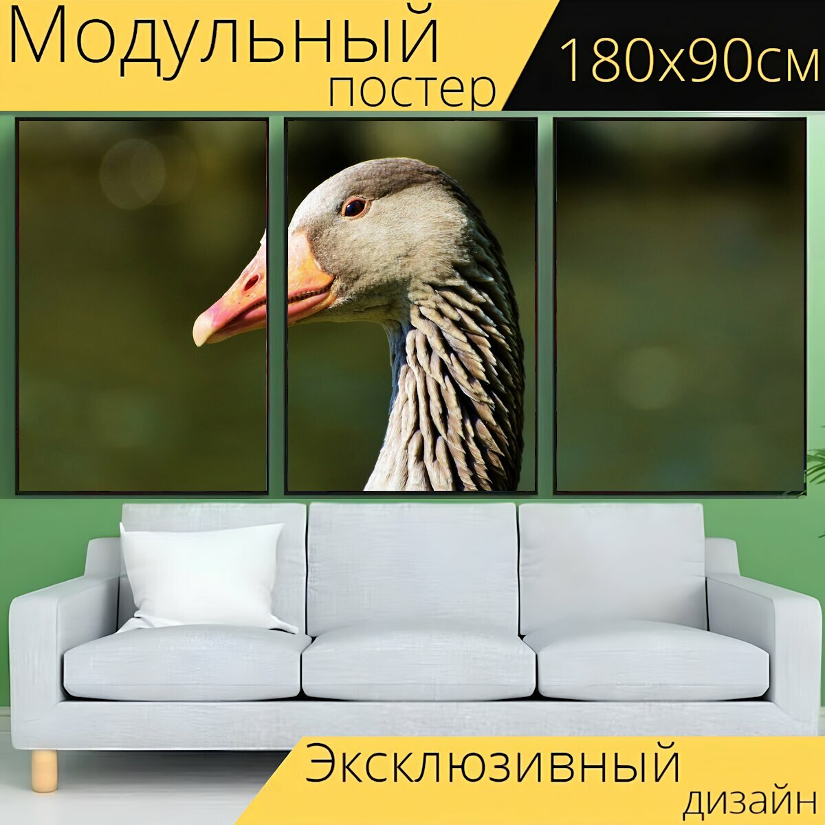 Модульный постер "Дикий гусь, серый гусь, водоплавающая птица" 180 x 90 см. для интерьера
