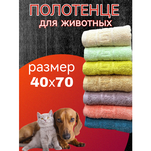 махровый халат полотенце для собак с капюшоном темно зеленый размер s халат для собак полотенце для собак Полотенце для домашних животных - элитное качество для нежных лапок и носиков