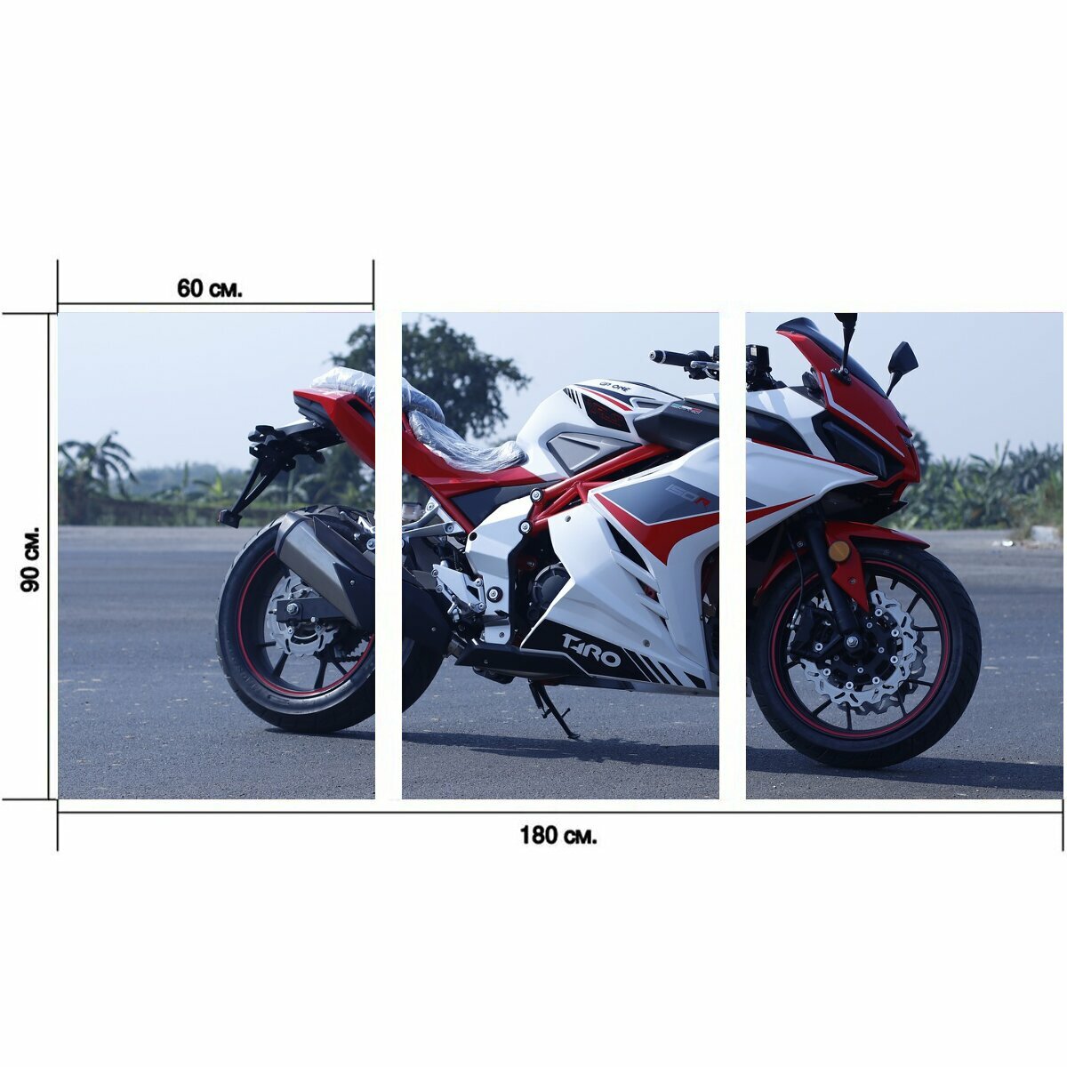 Модульный постер "Байкер, мотоцикл, скорость" 180 x 90 см. для интерьера