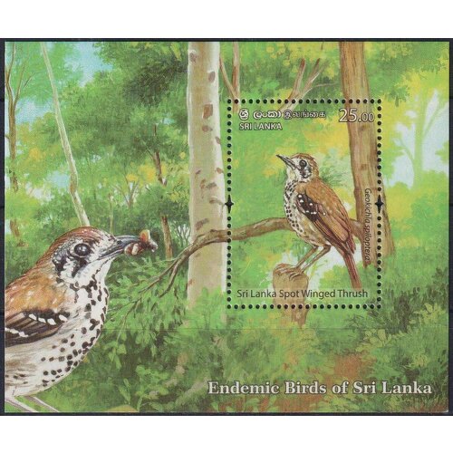 Почтовые марки Шри-Ланка 2021г. Шри-Ланкийский пятнистокрылый дрозд Птицы MNH