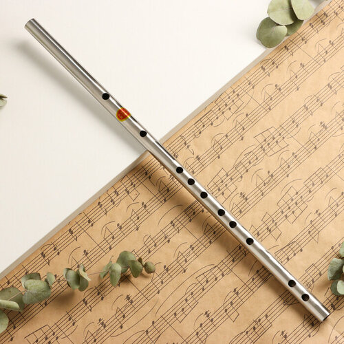 Флейта Music Life 304, 46 см, нержавеющая сталь, тональность F (комплект из 2 шт) флейта 1 флейта флейта с полевым эффектом транзистор абсолютно новый спот 1 шт