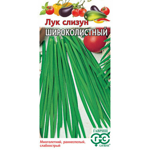 Семена Лук слизун Широколистный, 0,5г, Гавриш, Овощная коллекция, 10 пакетиков