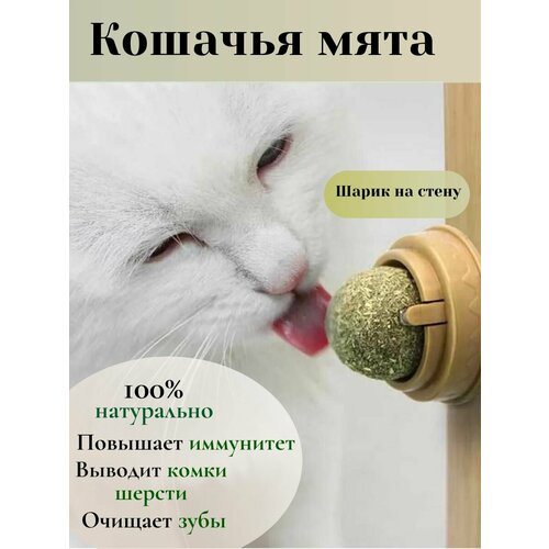 Игрушка для кошек из натуральной кошачьей мяты шарик, Мятный мячик, Шар из кошачьей мяты