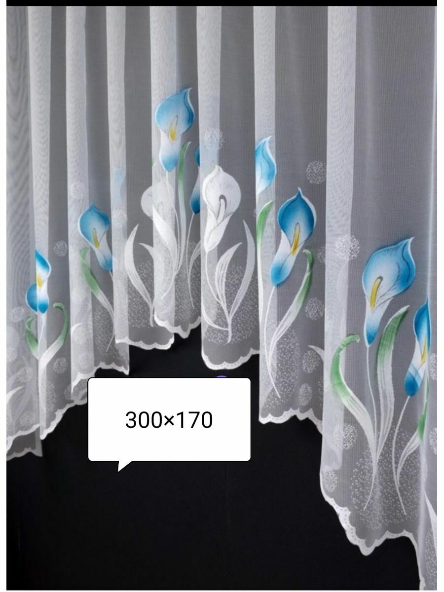 фото Тюль короткое, арка