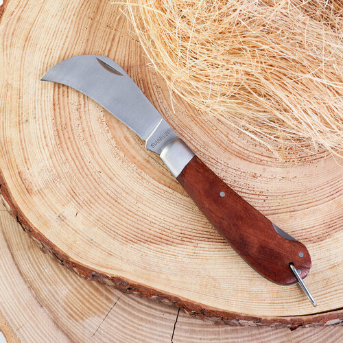 Нож складной Грибник 19см, клинок 80мм/2,5мм, рукоять дерево нож грибник сталь х12мф рукоять рог
