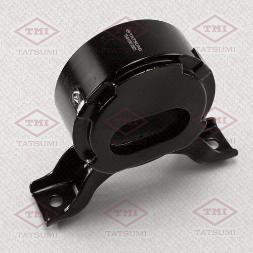 Опора дифференциала зад TMI TATSUMI TEG1250 3789₽