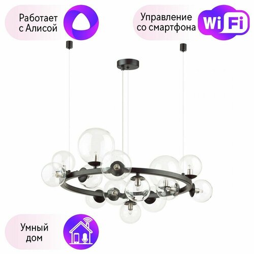 Люстра с Алисой Odeon Tovi 4818/14-A черный, бесцветный