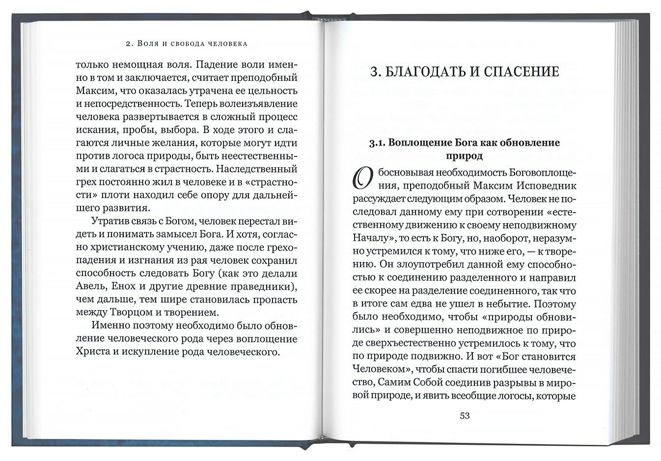 Промысел Бога и свобода человека по творениям святого Максима Исповедника - фото №7