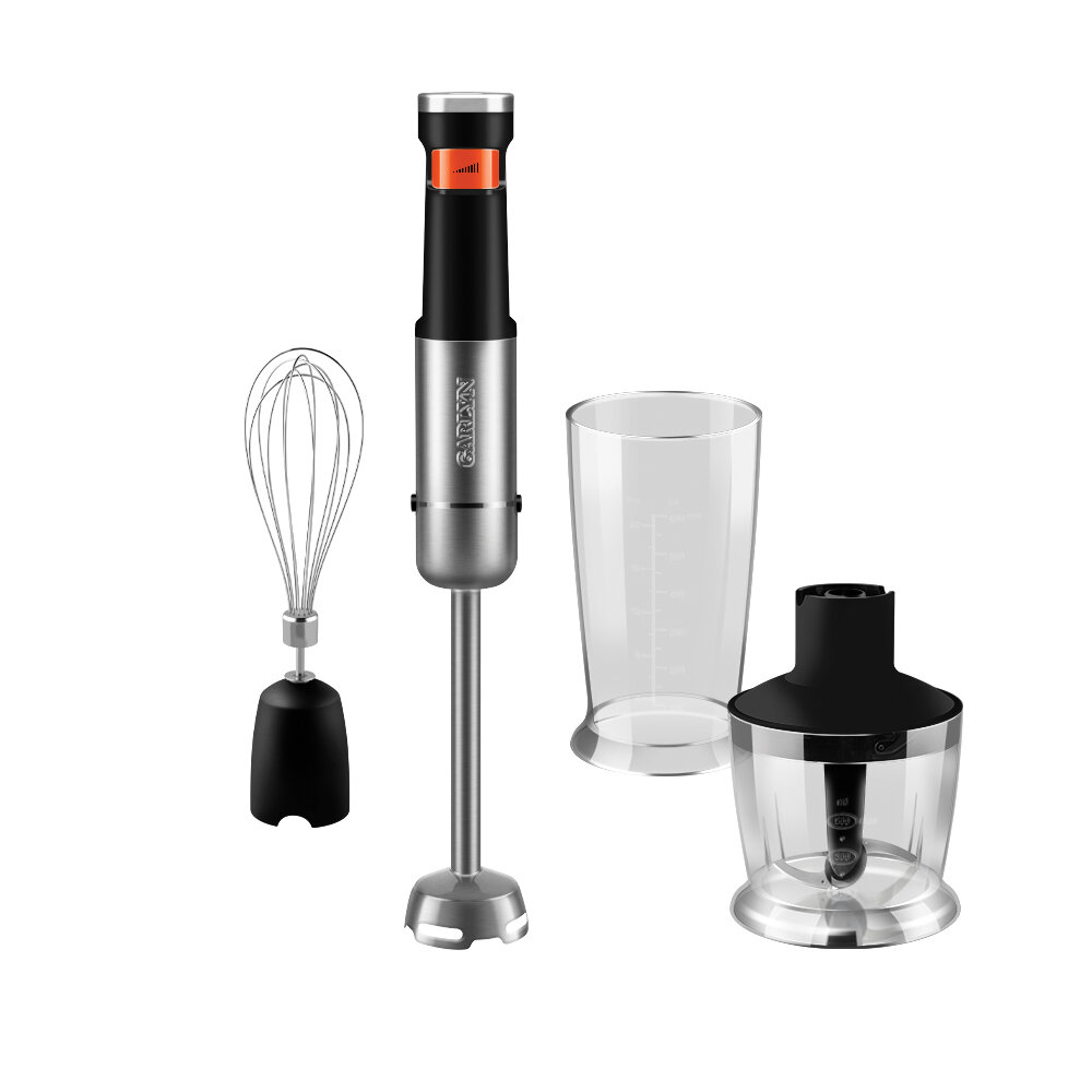 фото Блендер ручной беспроводной GARLYN HB-C