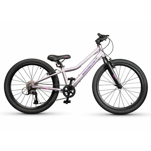Подростковый велосипед Maxiscoo 5 Bike 24 L год 2024 цвет Розовый 42435₽
