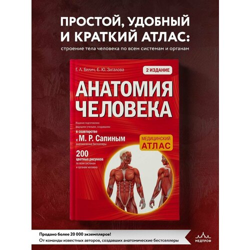 Медпроф / Анатомия человека: 2 издание книга эксмо анатомия йоги атлас раскраска