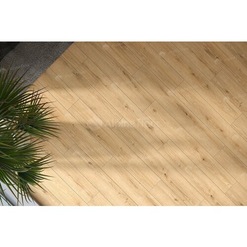 Arteo 8 M Дуб Намиб 62757