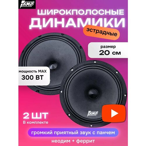 Динамики 20 см в машину Hybrid FR80M25 2 шт 6900₽