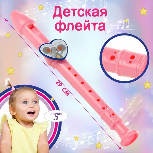 Флейта Veld Co 316₽