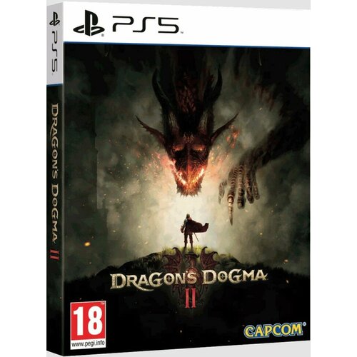 Dragons Dogma 2 Steelbook Edition PS5 русские субтитры 6100₽