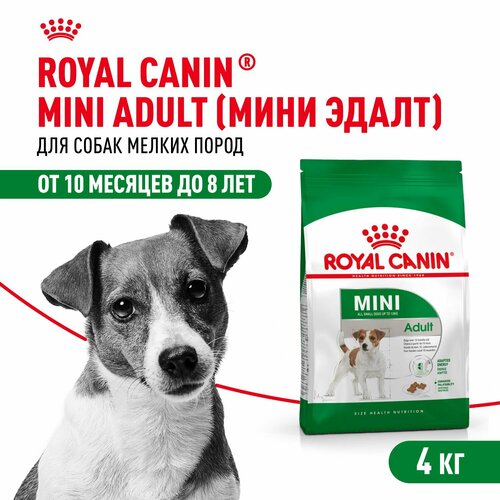 Royal Canin Mini Adult Сухой корм для взрослых собак мелких размеров в возрасте от 10 месяцев до 8 лет 4 кг