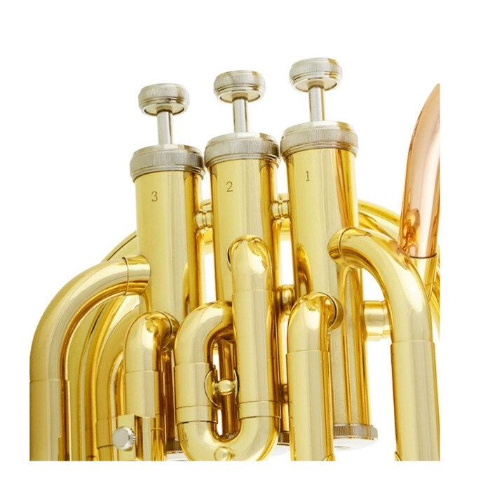 Тенор-горн Gebr. Stolze BT-100G — фото 1