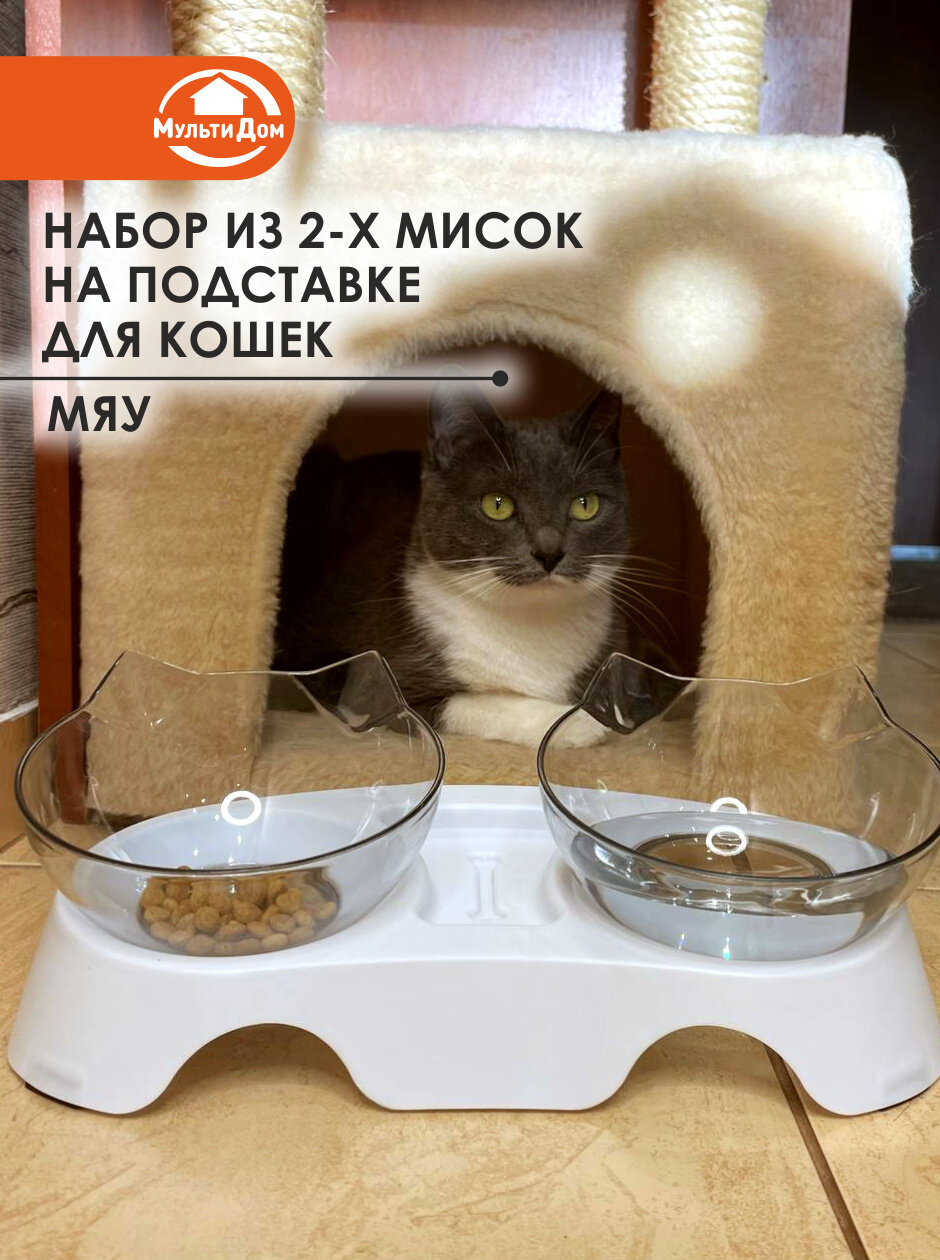 Набор из двух мисок для кошек и собак, объем 350 миллилитров