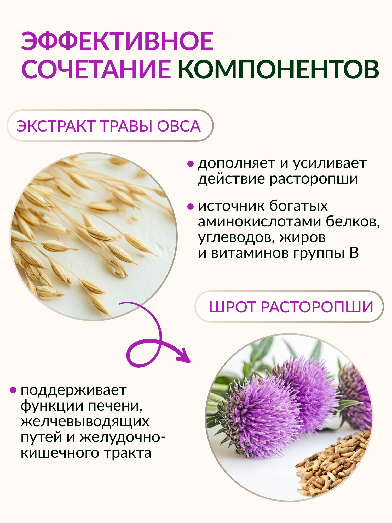Биокор / Таблетки для печени из расторопши, 60 штук — фото 1
